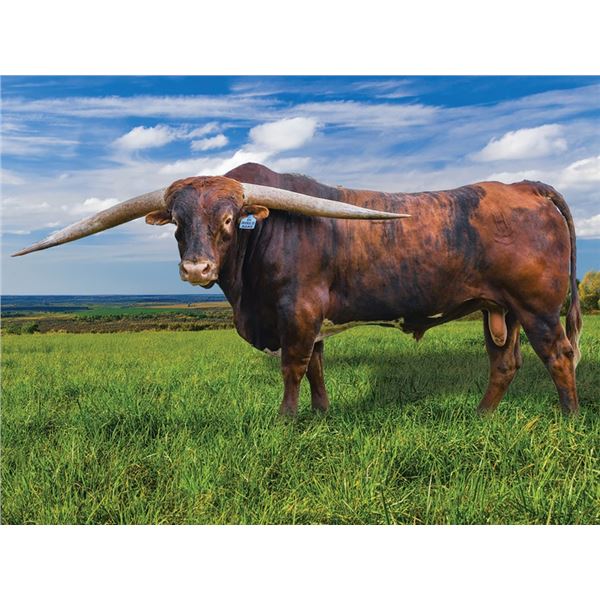 DH Hired Hand
