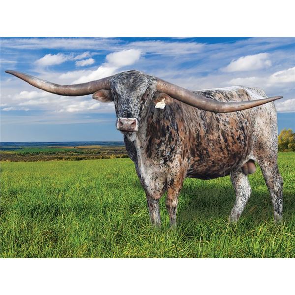 A&S Speckled Cowboy