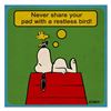 Image 1 : Restless Bird by Peanuts,