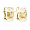 Image 4 : 14k Yellow Gold 0.15 ctw Pave Diamond w/ 7.6mm Pearl Corners Dome Button Earring
