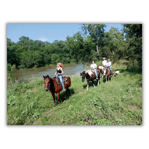 Trail ride at Yellow Snake Ranch