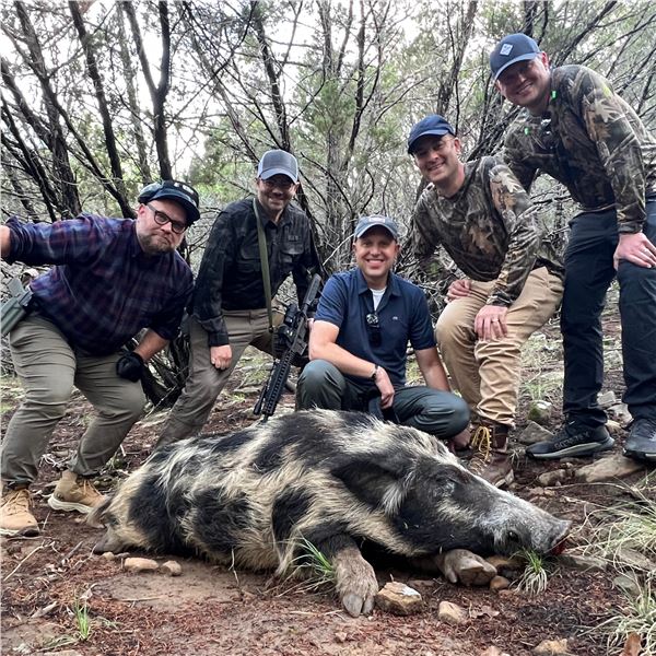 Ranger Ridge-Hog Hunt