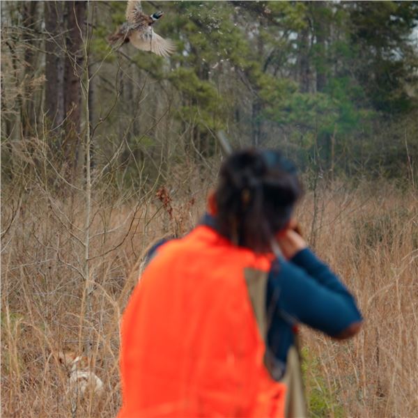 2 Person Upland Mixed Bird Hunt- Hawkeye Hunting