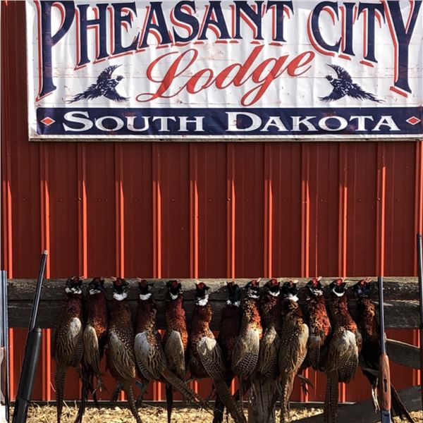 2-Day/2 Night All Inclusive EXPRESS South Dakota Pheasant Hunting Package for 2