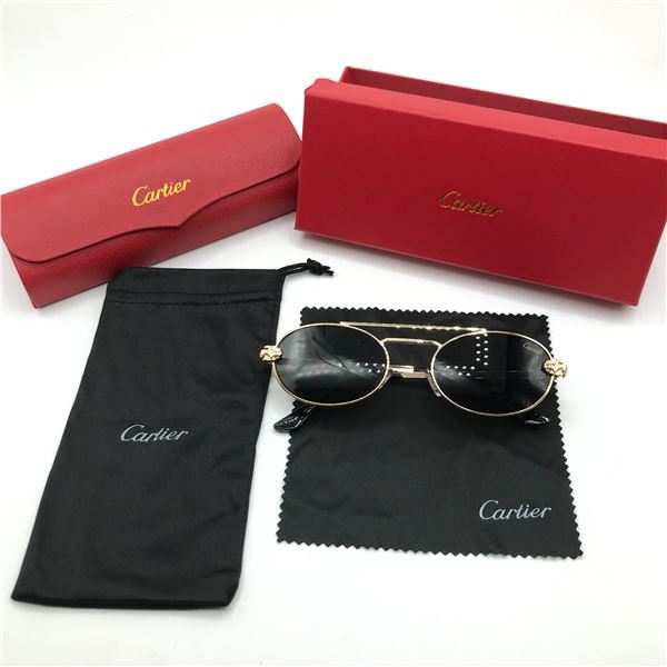 BNIB SUNGLASSES WITH CASE AND ACCESSORIES