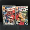 Image 1 : LOT OF 2 AMAZING SPIDERMAN COMICS #324-325 - MARVEL COMICS