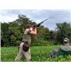 Image 3 : 4-Day Argentina Dove Hunt for 4 Hunters