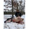 Image 1 : 1-Day Michigan Arctic Hog Hunt for 4 Hunters