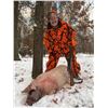 Image 2 : 1-Day Michigan Arctic Hog Hunt for 4 Hunters
