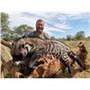 Image 1 : 7-Day South Africa African Civet & Genet Cat Hunt for 1 Hunter & 1 Non-Hunter