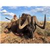Image 2 : 7-Day South Africa & Zimbabwe Plains Game Hunt & Victoria Falls for 1 Hunter & 1 Non-Hunter
