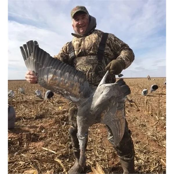 3-Day Texas Sandhill Crane Hunt for 2 Hunters