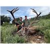 Image 3 : 4-Day Spain $3,000 Trophy Credit Towards Red Stag, Fallow, Mouflon for 1 Hunter