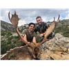 Image 5 : 4-Day Spain $3,000 Trophy Credit Towards Red Stag, Fallow, Mouflon for 1 Hunter