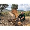 Image 8 : 4-Day Spain $3,000 Trophy Credit Towards Red Stag, Fallow, Mouflon for 1 Hunter