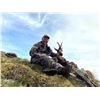 Image 1 : 4-Day Spain Pyrenean Chamois Hunt For 1 Hunter & 1 Non-Hunter