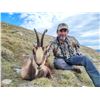 Image 2 : 4-Day Spain Pyrenean Chamois Hunt For 1 Hunter & 1 Non-Hunter