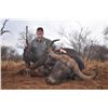 Image 1 : 7-Day Cape Buffalo Cow & Common Blesbuck Hunt for 1 or 2 Hunters & 1 or 2 Non-Hunters