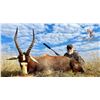 Image 3 : 7-Day Cape Buffalo Cow & Common Blesbuck Hunt for 1 or 2 Hunters & 1 or 2 Non-Hunters