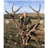 Image 2 : 3-Day Spain Iberian Red Stag Hunt for 1 Hunter