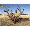 Image 3 : 3-Day Spain Iberian Red Stag Hunt for 1 Hunter