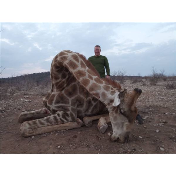 9-Day Namibia Damara Dik-Dik & Giraffe Hunt for 1 Hunter