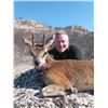 Image 2 : 9-Day Namibia Damara Dik-Dik & Giraffe Hunt for 1 Hunter