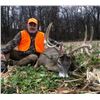 Image 1 : 3-Day Illinois Muzzleloader Whitetail Hunt for 1 Hunter