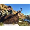 Image 5 : 5-Day New Zealand Tahr & Duck Hunt for 1 Hunter & 1 Non-Hunter