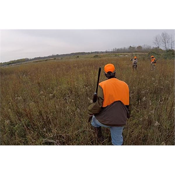 1-Day Michigan 100 Bird European Hunt for 10-20 Hunters