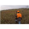 Image 1 : 1-Day Michigan 100 Bird European Hunt for 10-20 Hunters