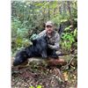 Image 3 : 3-Day Michigan Black Bear or Bobcat Hunt w/Hounds for 1 Hunter