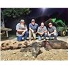 Image 1 : 3-Day Texas Thermal Hog Hunt & Bass Fishing for 2 Hunters