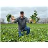 Image 1 : Food Plot Property Consultation