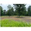 Image 5 : Food Plot Property Consultation