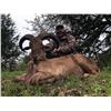 Image 1 : 5-Day Texas Exotics Hunt $7,500 Credit 2-5 Hunters