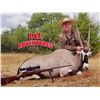 Image 2 : 5-Day Texas Exotics Hunt $7,500 Credit 2-5 Hunters