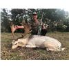 Image 3 : 5-Day Texas Exotics Hunt $7,500 Credit 2-5 Hunters