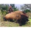 Image 4 : 5-Day Texas Exotics Hunt $7,500 Credit 2-5 Hunters