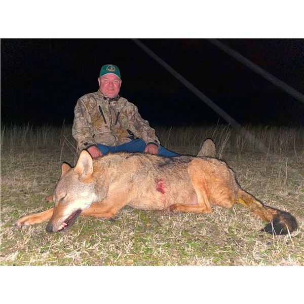 6-Day Macedonia Wolf Hunt for 2 Hunters or 1 Hunter & 1 Non-Hunter