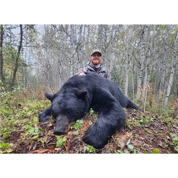 6-Day Saskatchewan Black Bear Hunt for 1 Hunter
