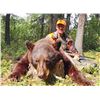 Image 2 : 6-Day Saskatchewan Black Bear Hunt for 1 Hunter
