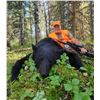 Image 4 : 6-Day Saskatchewan Black Bear Hunt for 1 Hunter