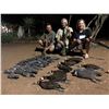 Image 3 : 7-Day South Africa Dove & Upland Bird Hunt for 2 Hunters