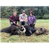 Image 1 : 2-Day Michigan Hog or Ram Hunt for 1 Hunter