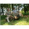 Image 2 : 2-Day Michigan Hog or Ram Hunt for 1 Hunter