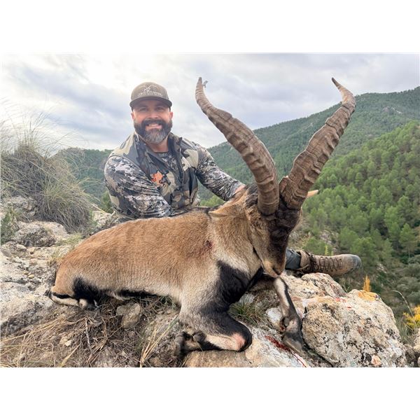 3-Day Spain (2) Southeastern Ibex Hunt for 2 Hunters