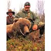 Image 1 : 8-Day Alaska Grizzly/Brown & Black Bear Hunt for 1 Hunter