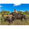 Image 2 : 7-Day Mozambique Cape buffalo Hunt for 1 Hunter