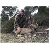 Image 1 : 4-Day Spain Roe Deer Hunt for 1 Hunter & 1 Non-Hunter